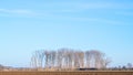 Dutch winter polder landscape in the Ooijpolder, Gelderland Holland Royalty Free Stock Photo