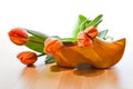Dutch wooden shoe and orange tulips Royalty Free Stock Photo