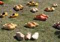 Dutch Wooden Shoes Or Klompen