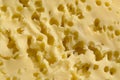 Dutch yellow Stolwijker cheese