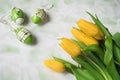 Dutch yellow tulips with decorative white green eggs Royalty Free Stock Photo