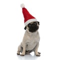 Dutiful pug waiting and wearing a Santa Clause hat Royalty Free Stock Photo