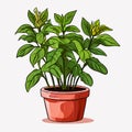 Duvalia plant in pot iconic vector drawing with plan background plant in pot iconic vector drawing with plan background Royalty Free Stock Photo