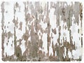 DW white wooden painted background