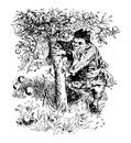 Dwarf Apple Tree vintage illustration Royalty Free Stock Photo