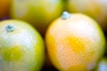 Dwarf Calamondin Fruit Macro Royalty Free Stock Photo