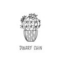 Dwarf Chin cactus in decorative pot in doodle style with a handwritten title Royalty Free Stock Photo