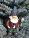 Funny dwarf in front of a coniferous tree Royalty Free Stock Photo