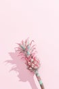 Dwarf Ornamental Pineapple mini pink flower on pink paper background. One tropical bloom per stem, view from above