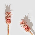 Dwarf Ornamental pink Pineapple flowers. Two exotic plants top view. Holiday invitation in minimal style