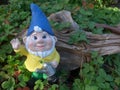 Funny dwarf with watering can in front of wooden root