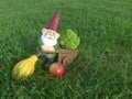 Funny garden gnome with wheelbarrow and apple, pumpkin and broccoli