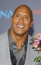 Dwayne Johnson