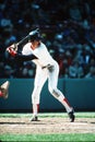 Dwight Evans Boston Red Sox Royalty Free Stock Photo