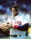 Dwight Evans Boston Red Sox Royalty Free Stock Photo