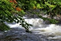 Autumn leaf colour with a long exposure of stream and flowing water Royalty Free Stock Photo