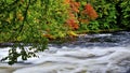 Autumn leaf colour with stream and flowing water Royalty Free Stock Photo