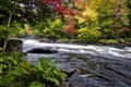 Landscape in autumn.  Autumn leaf colour with stream and flowing water Royalty Free Stock Photo