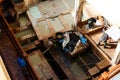 Dye reservoirs in tannery in Fes, Morocco, where the world famous moroccan leather is made Royalty Free Stock Photo