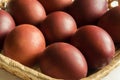 Dyed brown eggs chicken. Painted onion skin. Easter Royalty Free Stock Photo