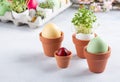 Dyed multi-colored eggs and green sprouts in egg shell in small clay flower pots on concrete background. Easter decoration