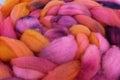 Dyed sheep wool roving Royalty Free Stock Photo