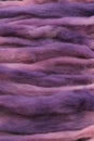 Dyed sheep wool roving Royalty Free Stock Photo