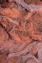 Dyed sheep wool Royalty Free Stock Photo