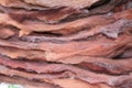 Dyed sheep wool