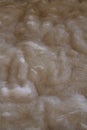 Dyeing sheep wool roving Royalty Free Stock Photo