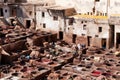 Dyeing in tanneries - Fez, Morocco Royalty Free Stock Photo