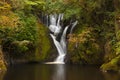 Dyfi Furnace Waterfall in early autumn