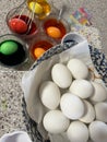 dying of easter eggs, bright, colorful, from white hard boiled eggs