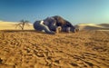 Dying elephant on drought cracked desert landscape.