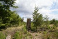 dying forests due to senseless clearing in the forest