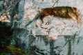 dying lion monument, landmark in Lucerne Switzerland Royalty Free Stock Photo