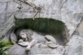 Dying lion Monument in Lucerne, the Famous landmark of Switzerland Royalty Free Stock Photo