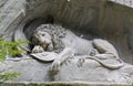 The dying lion monument in Luzern