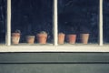 Dying plants on pots in window of old vintage retro potting shed