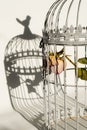 Rose in birds cage Royalty Free Stock Photo