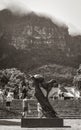 Dylan Lewis sculpture puma in the beautiful Kirstenbosch, Cape Town