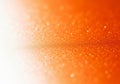 Abstract orange and white textured gradient background with subtle bubbles for graphic design and marketing Royalty Free Stock Photo