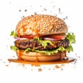 Photorealistic Barbecued Hamburger Floating With Water Splashes Royalty Free Stock Photo