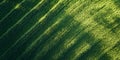 Dynamic aerial shot capturing linear green crop patterns in a sunlit field