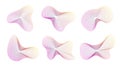 Dynamic amorphous shapes, abstract fluid forms with gradient, liquid shape made of lines with blend effect.