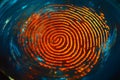Dynamic Biometric Fingerprint: Exploring Patterns of Identity and Security