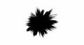 Abstract Black Brush Stroke on White Background Royalty Free Stock Photo