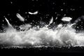 Abstract Feather Explosion in Black and White for Artistic Display Generative AI Royalty Free Stock Photo