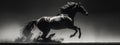 Dynamic black and white horse silhouette in fast galloping motion Royalty Free Stock Photo