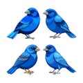 Dynamic Blue Grosbeak Bird Artwork Royalty Free Stock Photo